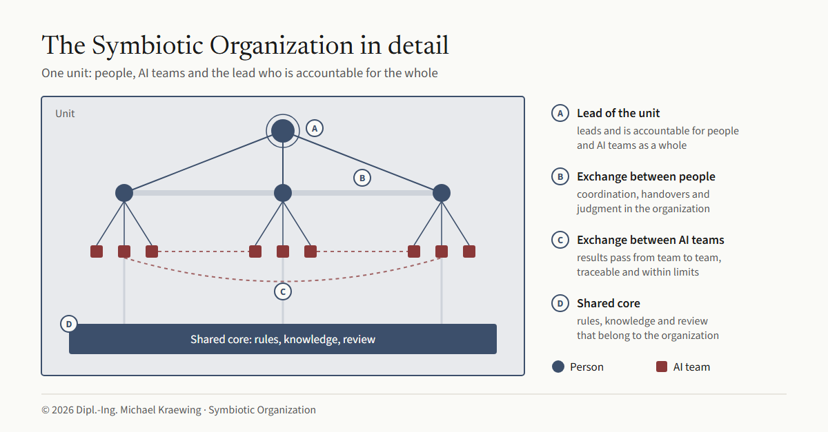 Figure 2: The Symbiotic Organization in detail